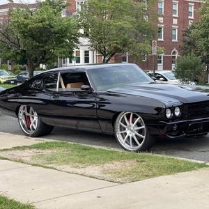 Meet your Posher, Bernard